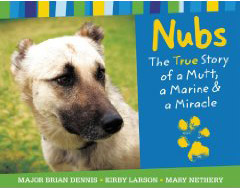 Nubs book cover
